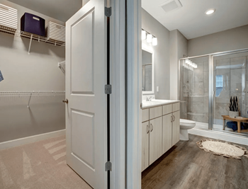 Bathroom and walk-in closet